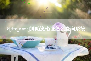 赵县消防资格证怎么查询系统