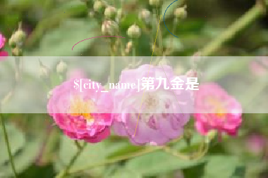 赵县第九金是