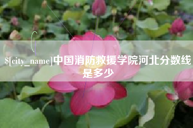 赵县中国消防救援学院河北分数线是多少