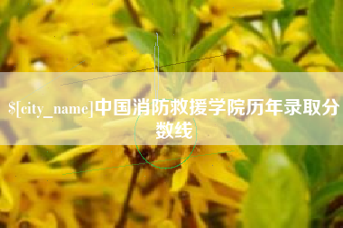 赵县中国消防救援学院历年录取分数线