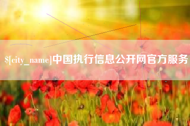 赵县中国执行信息公开网官方服务