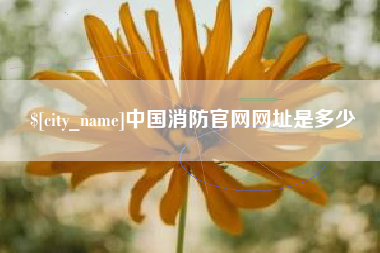 赵县中国消防官网网址是多少
