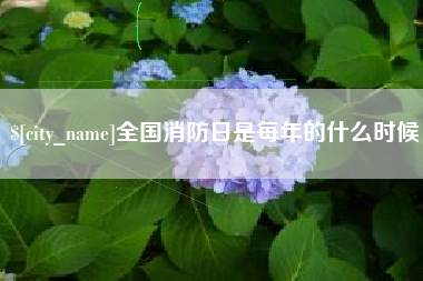 赵县全国消防日是每年的什么时候