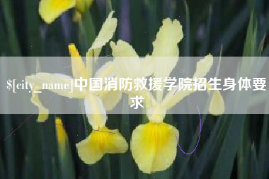 赵县中国消防救援学院招生身体要求