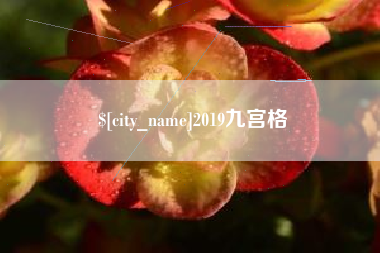 赵县2019九宫格