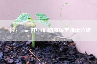 赵县中国消防救援学院录分线