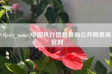 赵县中国执行信息查询公开网查询官网