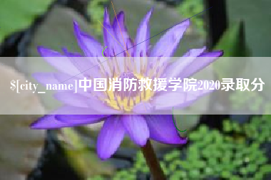 赵县中国消防救援学院2020录取分