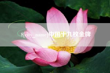 赵县中国十九枚金牌
