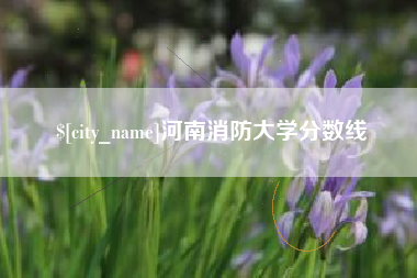 赵县河南消防大学分数线