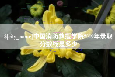 赵县中国消防救援学院2019年录取分数线是多少