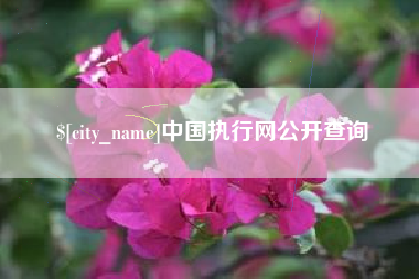 赵县中国执行网公开查询