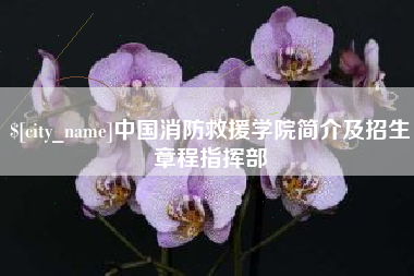 赵县中国消防救援学院简介及招生章程指挥部