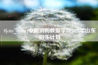 赵县中国消防救援学院2021年山东招生计划