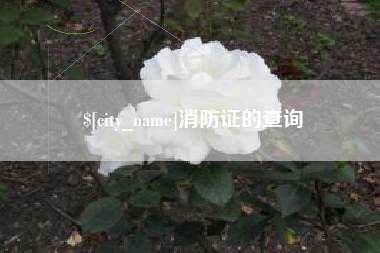 赵县消防证的查询