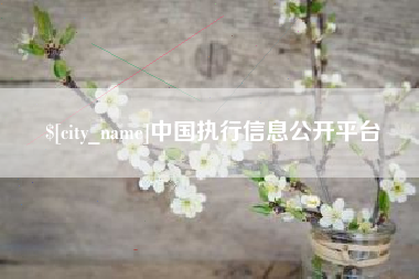 赵县中国执行信息公开平台