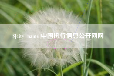 赵县中国执行信息公开网网