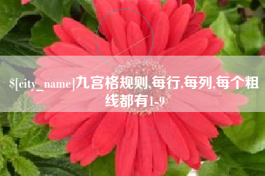 赵县九宫格规则,每行,每列,每个粗线都有1-9