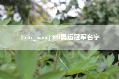赵县2024奥运冠军名字