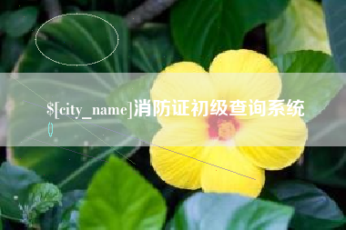 赵县消防证初级查询系统