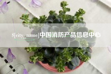 赵县中国消防产品信息中心