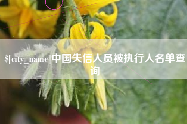 赵县中国失信人员被执行人名单查询