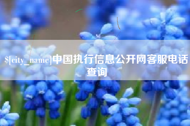 赵县中国执行信息公开网客服电话查询