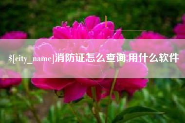 赵县消防证怎么查询,用什么软件