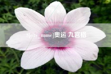 赵县奥运 九宫格