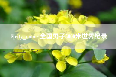 赵县全国男子5000米世界纪录
