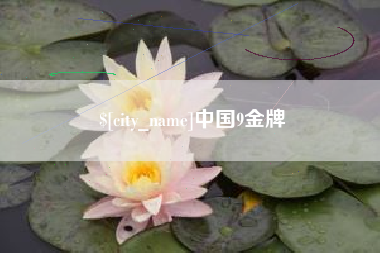 赵县中国9金牌