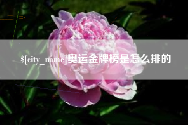 赵县奥运金牌榜是怎么排的