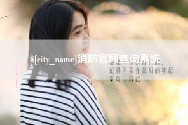 赵县消防官网查询系统