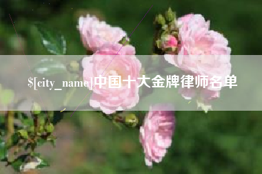 赵县中国十大金牌律师名单