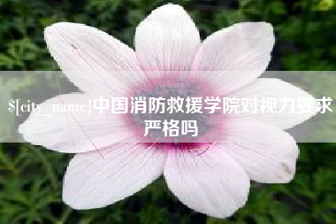 赵县中国消防救援学院对视力要求严格吗