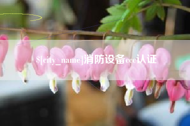 赵县消防设备ccc认证