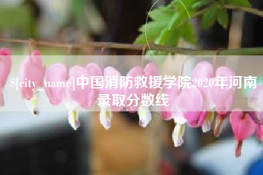 赵县中国消防救援学院2020年河南录取分数线