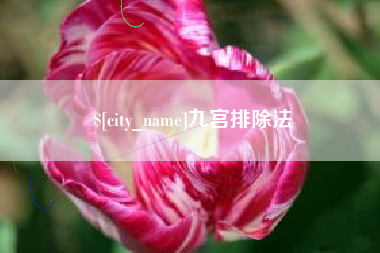 赵县九宫排除法