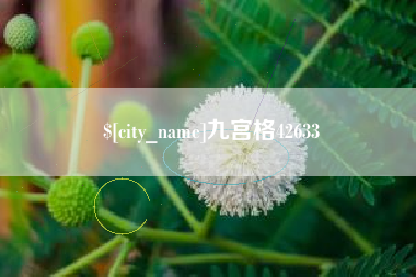 赵县九宫格42633