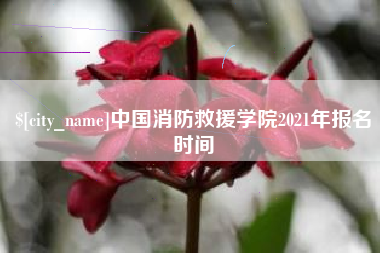 赵县中国消防救援学院2021年报名时间