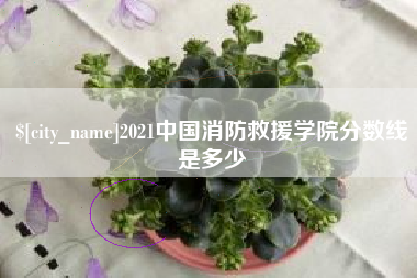 赵县2021中国消防救援学院分数线是多少
