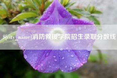 赵县消防救援学院招生录取分数线