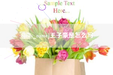 赵县王子豪是怎么写