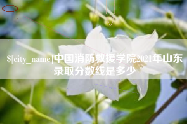 赵县中国消防救援学院2021年山东录取分数线是多少