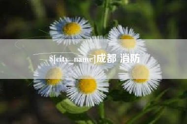 赵县成都 消防