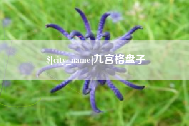 赵县九宫格盘子