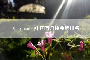 赵县中国有几块金牌排名