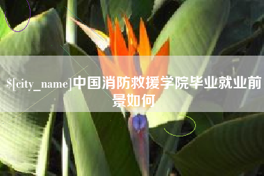 赵县中国消防救援学院毕业就业前景如何