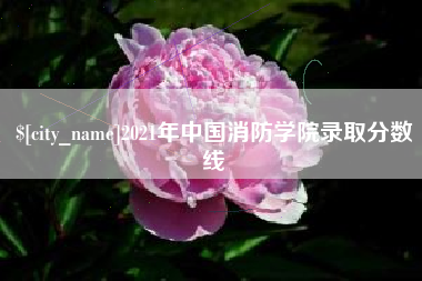赵县2021年中国消防学院录取分数线