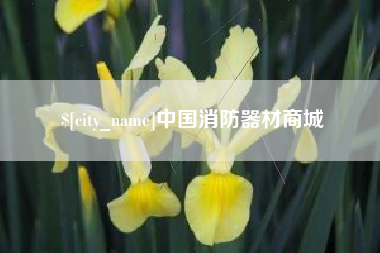 赵县中国消防器材商城